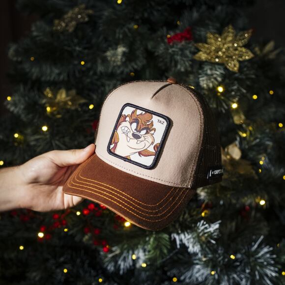 Kappe Capslab - Trucker Looney Tunes - Taz - Brown