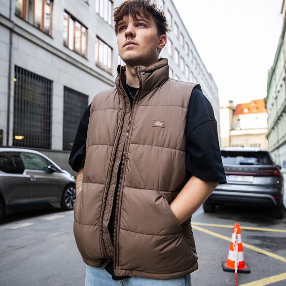Weste Dickies Waldenburg Vest