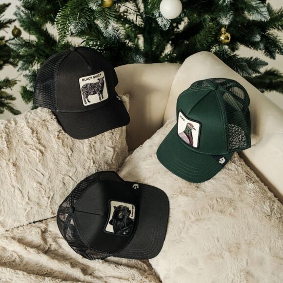 Kappe Goorin - The Homie Pigeon