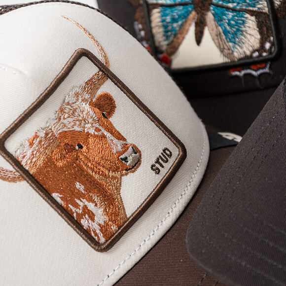Kappe Goorin - Over The Line Longhorn - Dust