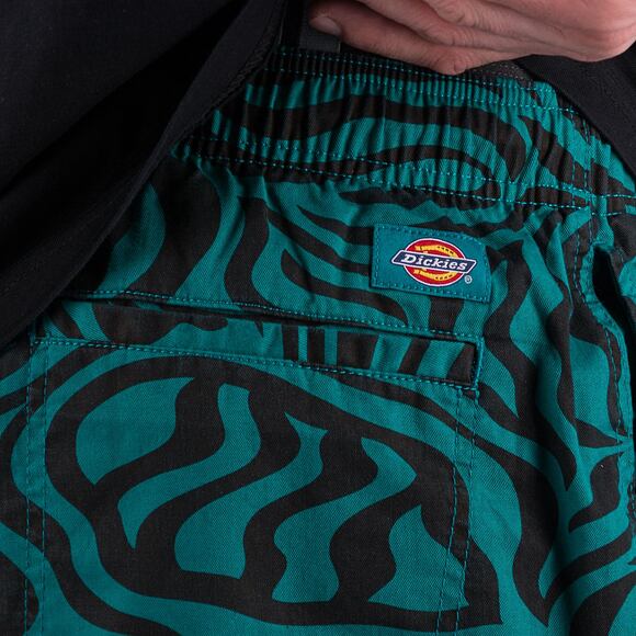 Shorts Dickies CLACKAMAS SHORT DK0A4Y7YF301