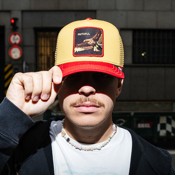 Kappe Goorin - The Faithful Eagle