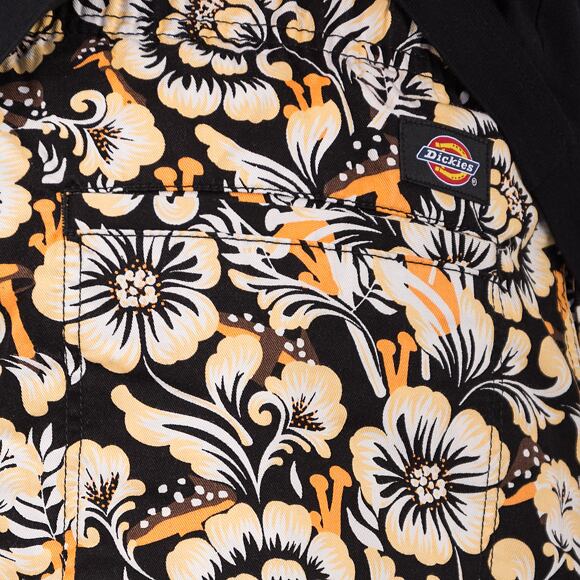 Shorts Dickies Roseburg DK0A4YBPF361 Orange