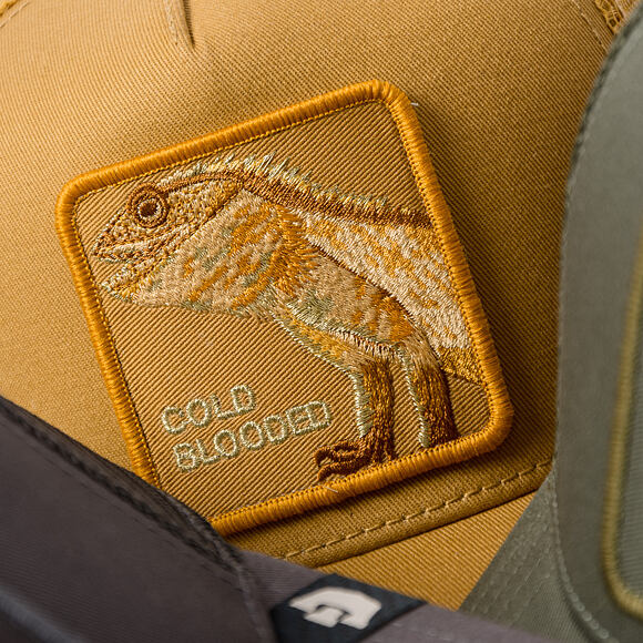 Kappe Goorin - Circle Of Life - Cold Blooded - Lizard - Amber