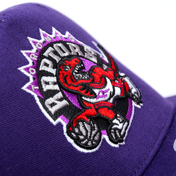 Kappe Mitchell & Ness - NBA Tremor Trucker HWC - Toronto Raptors - Purple