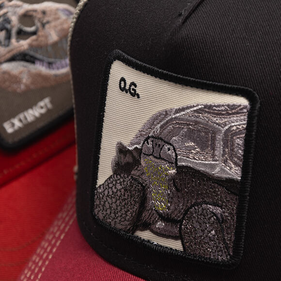 Kappe Goorin - Tricolor Tortiouse - Multi Color