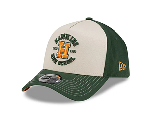Kappe New Era - Hawkings High 9FORTY A-Frame - Stranger Things - Green