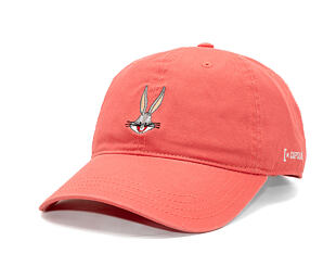 Kappe Capslab - Looney Tunes licenced Trucker