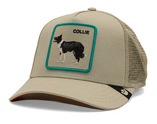 Kappe Goorin - Shadow Border Collie - Scout