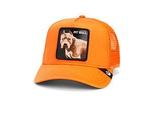 Kappe Goorin - The Dog Pitbull - Orange