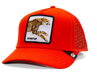 Kappe Goorin - The Nonstop Cheetah