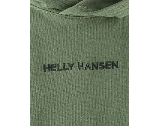 Hoodie Helly Hansen Core Graphic Sweat Hoodie Jade 2.0