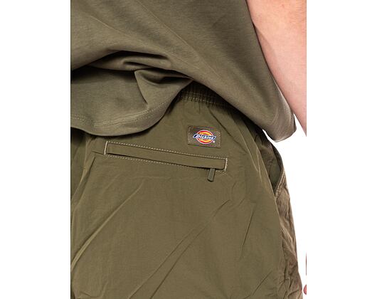 Shorts Dickies Jackson Cargo Short DK0A4YACMGR1