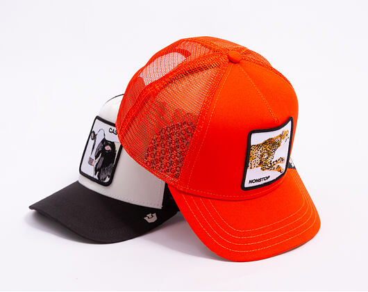 Kappe Goorin - The Nonstop Cheetah