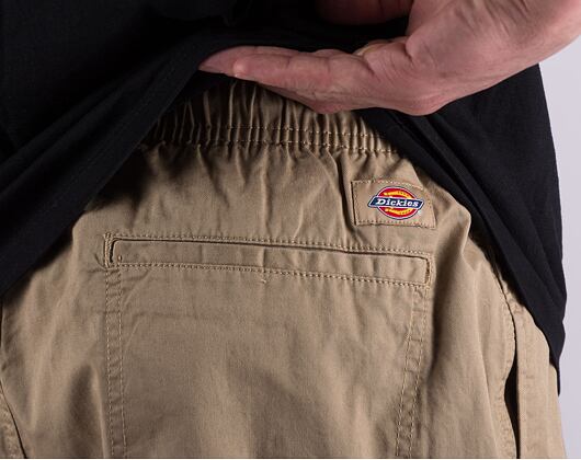 Shorts Dickies PELICAN RAPIDS DK0A4XB2DS01