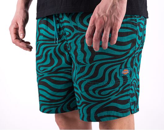 Shorts Dickies CLACKAMAS SHORT DK0A4Y7YF301