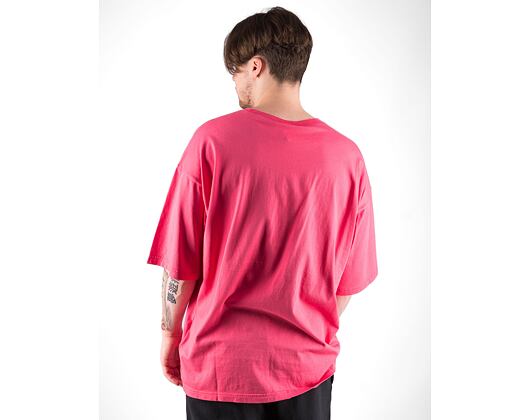 Champion Premium AR1 T-Shirt - Archive Crewneck T-Shirt 218651-PIP