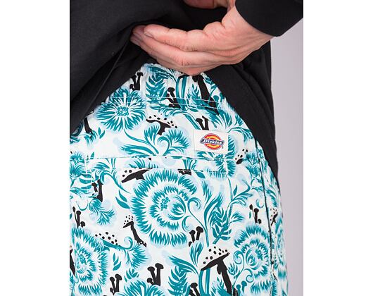 Shorts Dickies Roseburg DK0A4YBPF351 Blau