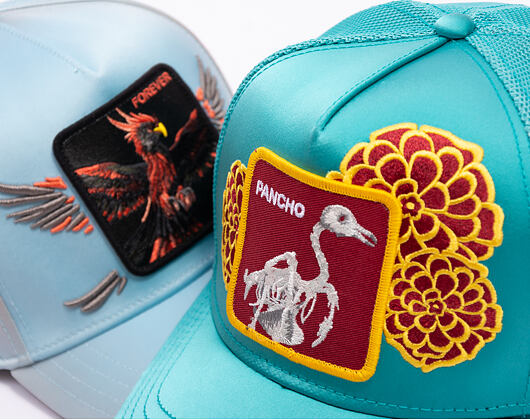 Kappe Goorin - Dia De Pancho