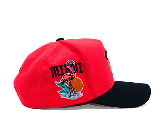 Kappe Mitchell & Ness - In The City - NBA - Miami Heat - Pink