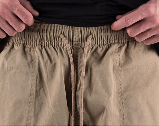 Shorts Dickies PELICAN RAPIDS DK0A4XB2DS01