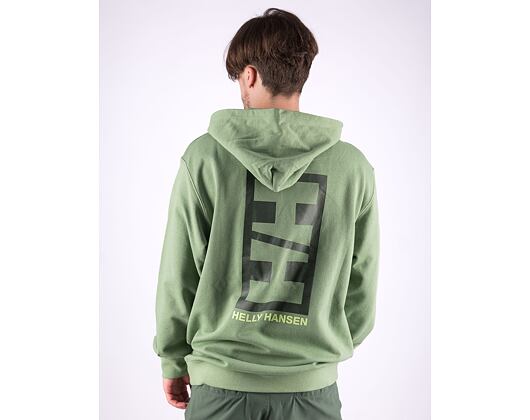 Hoodie Helly Hansen Core Graphic Sweat Hoodie Jade 2.0