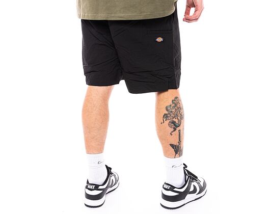Shorts Dickies Fincastle Short DK0A4YSLBLK1