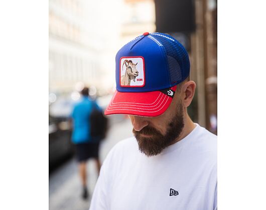 Kappe Goorin - The Historic Bear - Blue