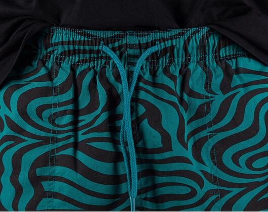 Shorts Dickies CLACKAMAS SHORT DK0A4Y7YF301