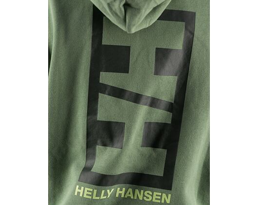 Hoodie Helly Hansen Core Graphic Sweat Hoodie Jade 2.0