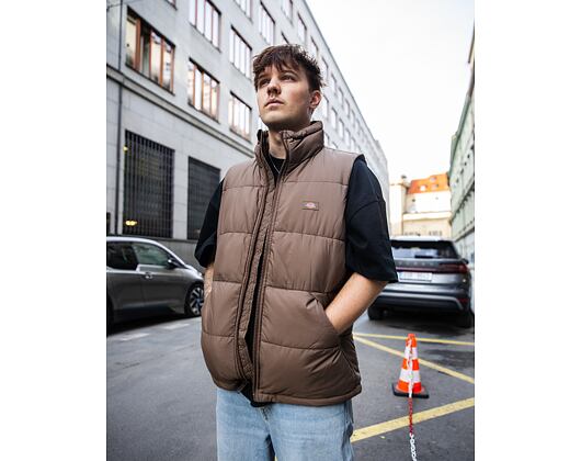 Weste Dickies Waldenburg Vest