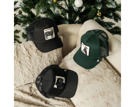 Kappe Goorin - The Homie Pigeon