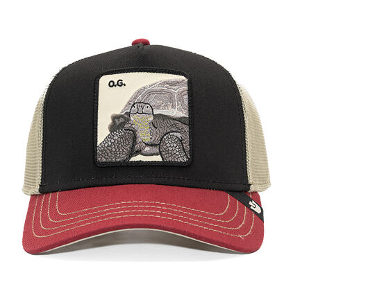 Kappe Goorin - Tricolor Tortiouse - Multi Color