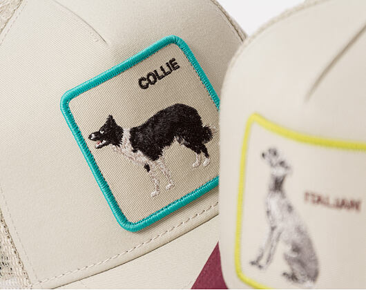 Kappe Goorin - Shadow Border Collie - Scout