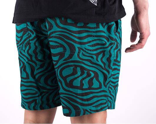 Shorts Dickies CLACKAMAS SHORT DK0A4Y7YF301