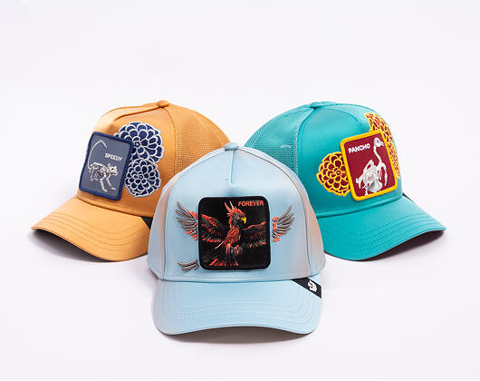 Kappe Goorin - Never Stop Never Stopping