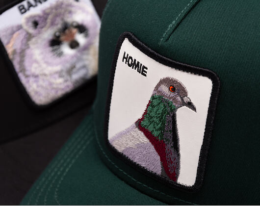 Kappe Goorin - The Homie Pigeon