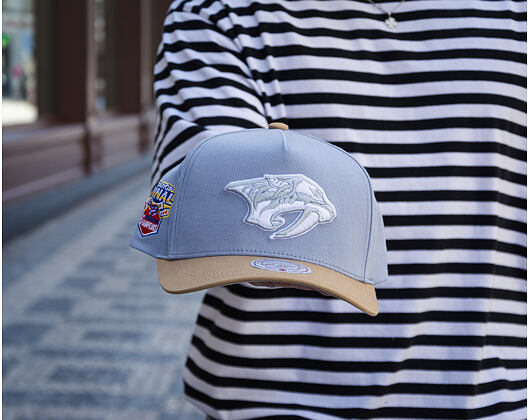 Kappe Mitchell & Ness  - NHL Frosted Peak - Pro Pinch Snapback - Nashville Predators - Blue/Green