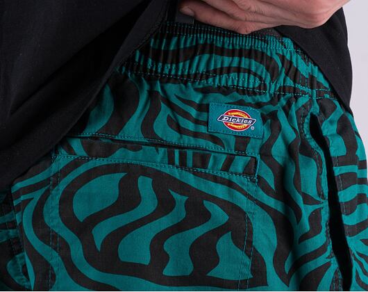 Shorts Dickies CLACKAMAS SHORT DK0A4Y7YF301