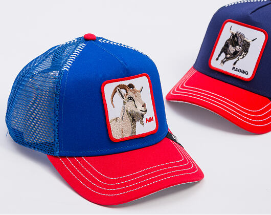 Kappe Goorin - The Historic Bear - Blue