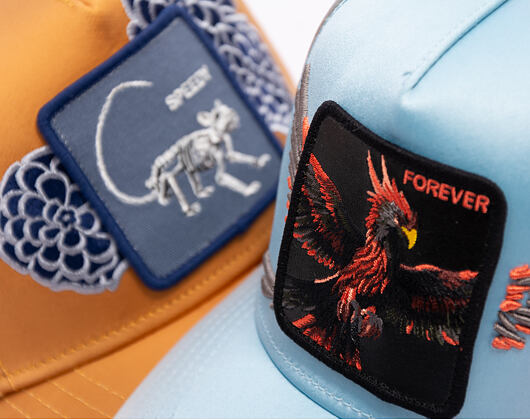 Kappe Goorin - Never Stop Never Stopping