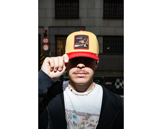 Kappe Goorin - The Faithful Eagle