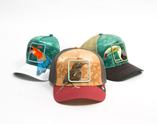 Kappe Goorin - Costa Rica Thrush - Amber