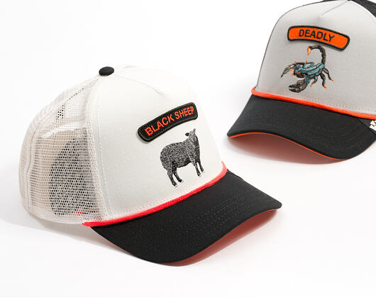 Kappe Goorin - Pop Rocker Sheep - Platinum