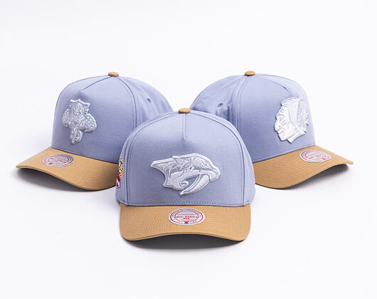 Kappe Mitchell & Ness  - NHL Frosted Peak - Pro Pinch Snapback - Nashville Predators - Blue/Green