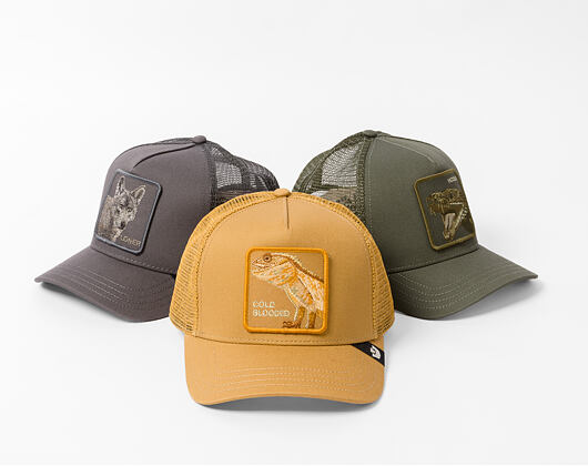 Kappe Goorin - Circle Of Life - Cold Blooded - Lizard - Amber