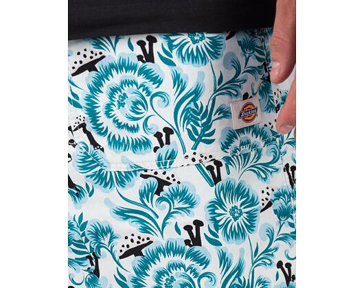 Shorts Dickies Roseburg DK0A4YBPF351 Blau