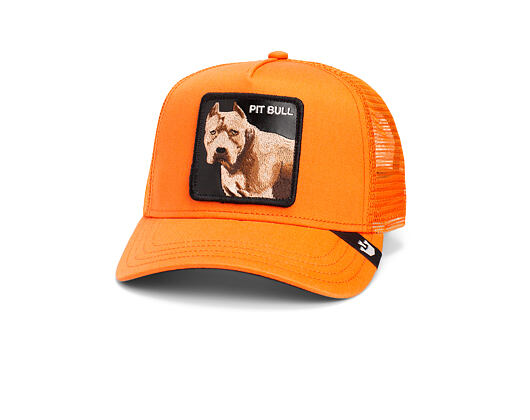 Kappe Goorin - The Dog Pitbull - Orange