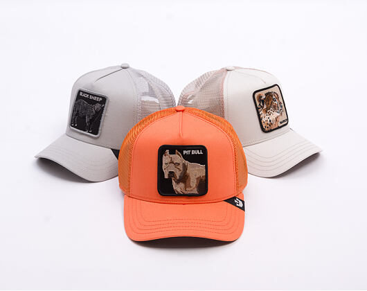 Kappe Goorin - The Dog Pitbull - Orange