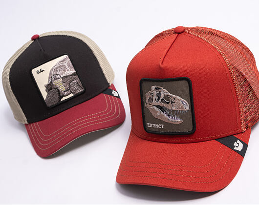 Kappe Goorin - The Extinct Skull - Solar